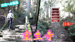 【室生寺　奈良　国宝】すいません。完全にナメてました。大量の国宝に体力吸い取られた。