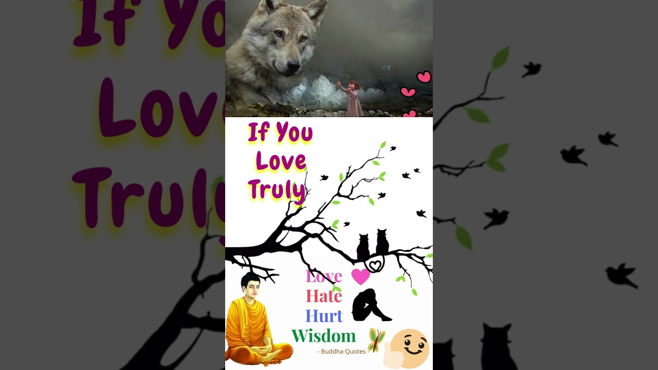 Buddha Quote 63 IF YOU LOVE REALLY 