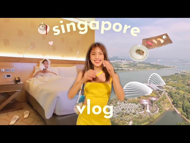 Singapore VLOG 🇸🇬  MY first travel vlog in Singapore 开箱一晚马币30千的总统套房 😱😱😱 class=