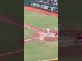 雄鷹🦅放寒假囉 #中華職棒 #baseball #music #台鋼雄鷹