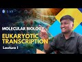 Molecular Biology: Transcription in Eukaryotes | L-1 | IIT JAM Biotechnology