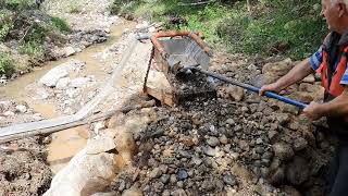GOLD Discovery, Incredible Gold Find İn Old Stream Bed by ALTIN AVCISI 1 2,160 views 9 hours ago 9 minutes, 2 seconds