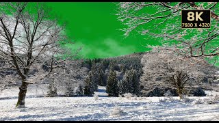 Winter Forest Stock Footage green screen 8k video free
