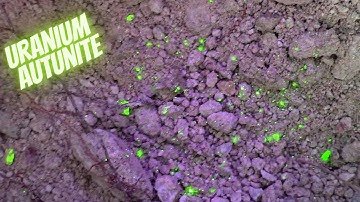 Autunite Uranium Mineral Dig - Uranium Mine