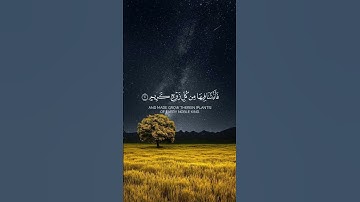 سوره لقمان 🌷#ياسر_الدوسري #قرآن #قران_كريم #قران #قرآن_كريم #تلاوات #تلاوة_خاشعة #تلاوة #تلاوة_هادئة
