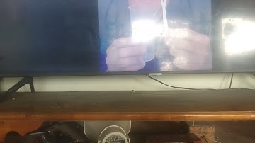 TVC 6 xuc xich heo cao boi mau tim 