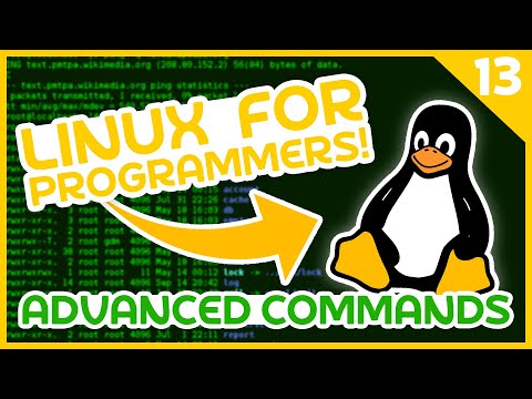 Linux For Programmers #13 - Advanced Commands