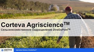 Новый бренд Corteva Agriscience™ Cельскохозяйственного подразделения DowDuPont™