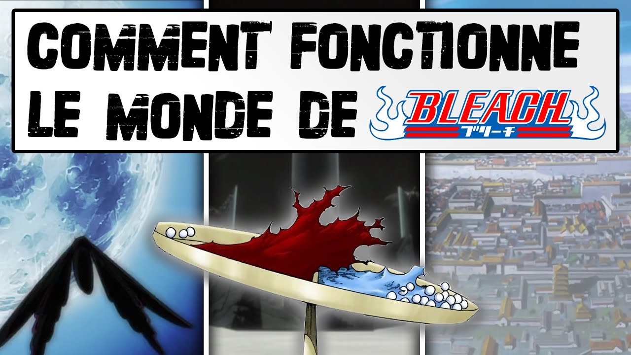 L'UNIVERS DE BLEACH EXPLIQUÉ | Cycle des âmes, Hollows, Réincarnation…