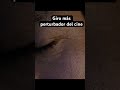 GIRO MAS PERTUBADOR DEL CINE EN MI CANAL!!! #viralvideo #resumendecine #peliculas