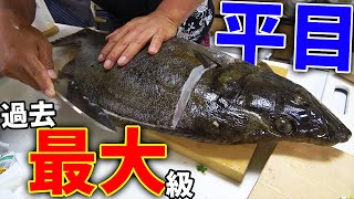 釣りよか史上最大のヒラメで作る創作料理が激ウマだった