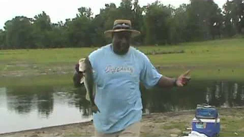 The Fish Hawk Coach Freeman