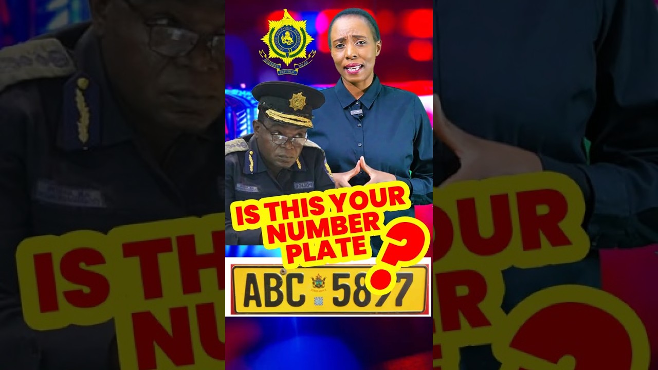 Your car ran a red light… or did ZRP just named 290 “offenders”