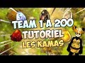 DOFUS - COMMENT SE FAIRE DES KAMAS FACILEMENT EN MONTANT SA TEAM 1 à 200 ? #2