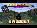 I Started a Minecraft Survival Wildlife Rescue 🐾 Episode 1