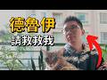 【TRPG】跟德魯伊玩家講話是什麼感覺