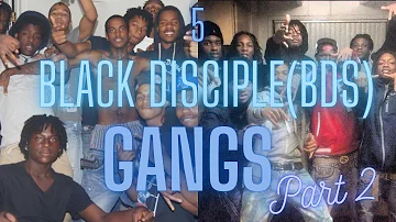 5 Black Disciple Gangs (BDs) | Chicago | Part 2