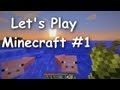 Let's Play Minecraft Survival (Part 1) - The Journey Begins!