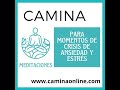 🧘♀️MEDITACIÓN PARA LA REDUCCIÓN RÁPIDA DE LA ANSIEDAD Y EL ESTRÉS EN MOMENTOS DE CRISIS(10 minutos)