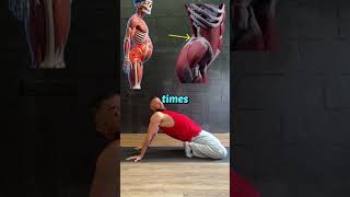 5 Exercises To Unlock Shoulders & Fix Pelvic Tilt FAST!  #mobility #hip #shoulder