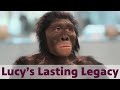Lucy's Lasting Legacy | Full Documentary