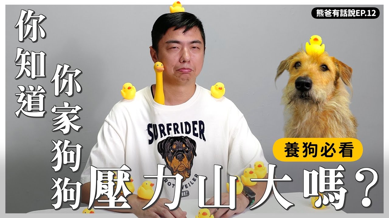 必看！掌握狗狗壓力指數！好狗人關鍵一課【熊爸有話說】｜熊爸估狗