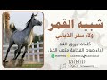 شيلة شبيه القمر اداء صوت الفخامه متعب الخيل جديد 2023 حصرياً شيلة شبيه القمر اداء صوت الفخامه متعب الخيل جديد 2023 حصرياً