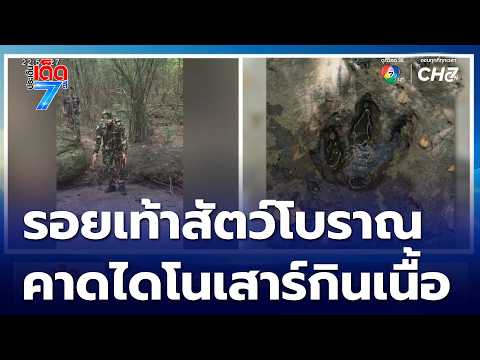 Buzz! Ancient animal footprints found, suspected to be dinosaur | 7 See Hot Issues