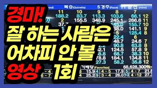 경마 초보 쌩초보 교실 1회. 경마장 가는길