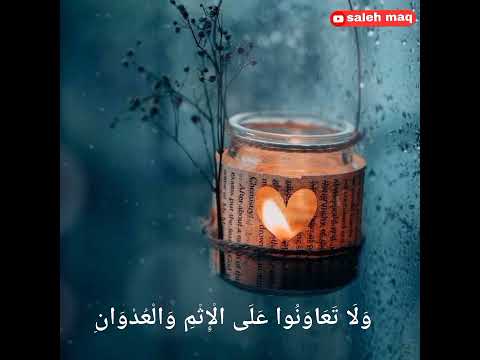 وتعانوا على البر والتقوى عبدالباسط عبدالصمد