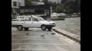 Eagles of the Sea- Flying Seagulls on Stormy Wind