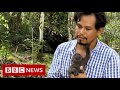New video by BBC News on YouTube