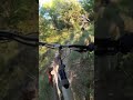 Donc ça c'est l'échauffement ?? Il est fou ce type!😱 #shorts #mtb #cycling