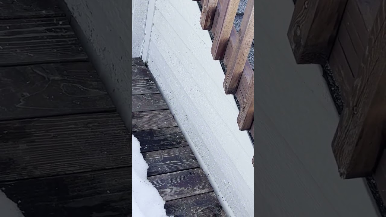 Wilderness Ranch Roofing and Siding Inspection