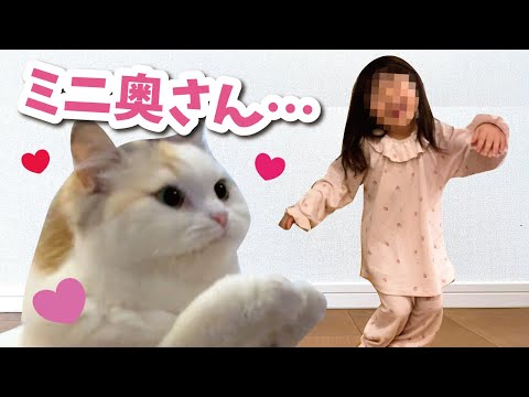 つくしと仲良くなりたくて4歳の娘が不思議な踊りを覚えました【おしゃべりする猫】