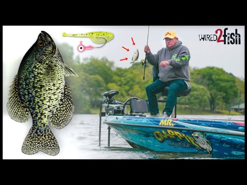 How to Catch Crappies Casting Micro Crankbaits 