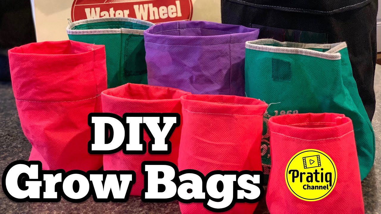 Share 98+ youtube grow bags - in.cdgdbentre