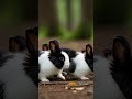 Cute Friendly Rabbit in Forest 🐰🌲 | Most Adorable Wildlife Video.#AI #animals #babyanimals #viral