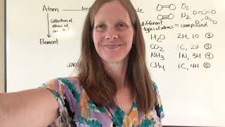 Biology Module 2 #2