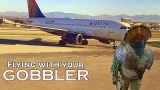 HOW to CLEAN your TURKEY | CAPING a GOBBLER for FLYING or TAXIDERMY | GETTING your GOBBLER HOME