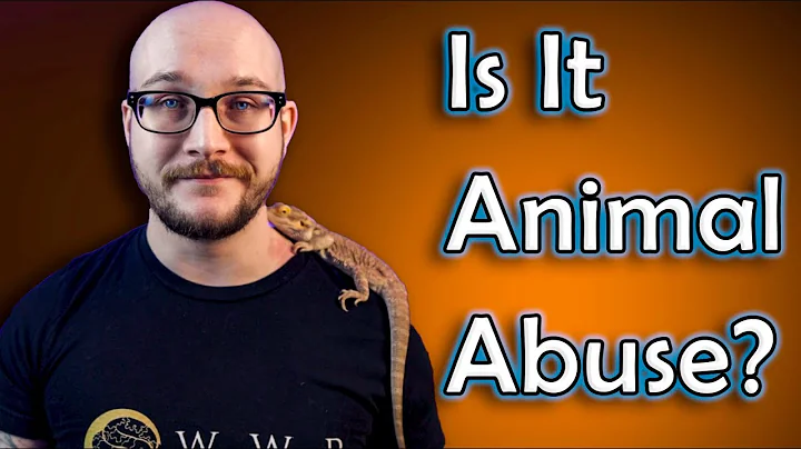 Is Keeping Reptiles In Captivity Cruel? | My Controversial Opinion