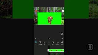 inshot video editing tutorial #vfx #editing #greenscreen #tiger #youtubeshorts #shorts screenshot 1