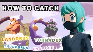 Where to find Tornadus, Thundurus, Landorus \& Enamorus ► Pokemon Legends Arceus