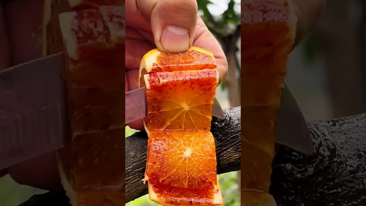 Satisfying Orange Cutting ASMR | Juicy Slice Close-up"