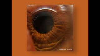 Crushing Snails Coffeebreath