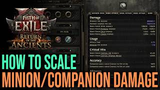 How to scale minion damage in Path of exile 2
