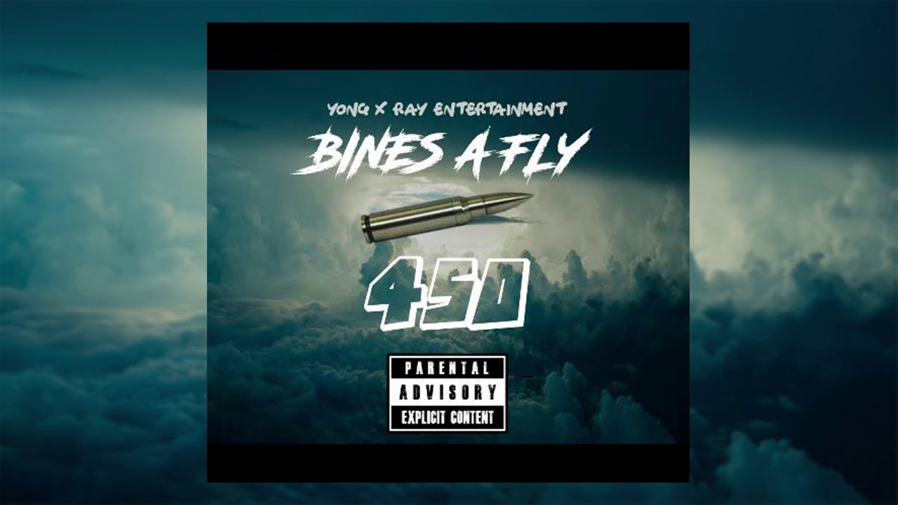 Official Bines A Fly YouTube thumbnail