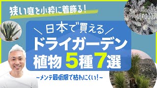 狭い庭を小粋に着飾る！日本で買えるドライガーデン植物5種7選