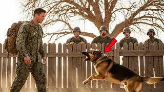 Full They Failed to Tame the K9 Dog —What This Navy Seal Did Was Shocking News
