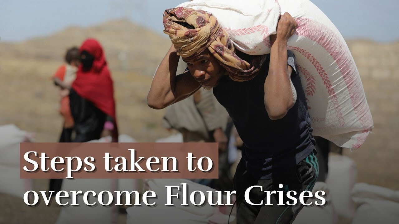 Steps taken to overcome Flour Crises